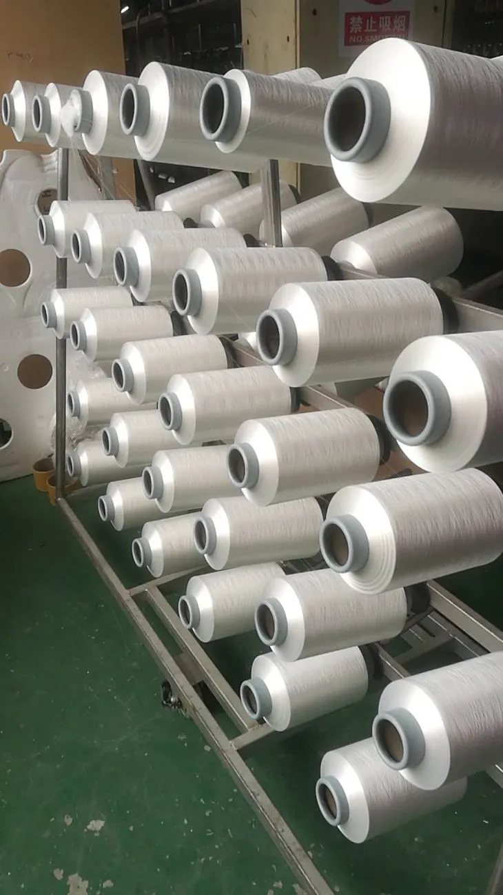 Polyestè Pbt à Fils 10Denier/5filament/12filament